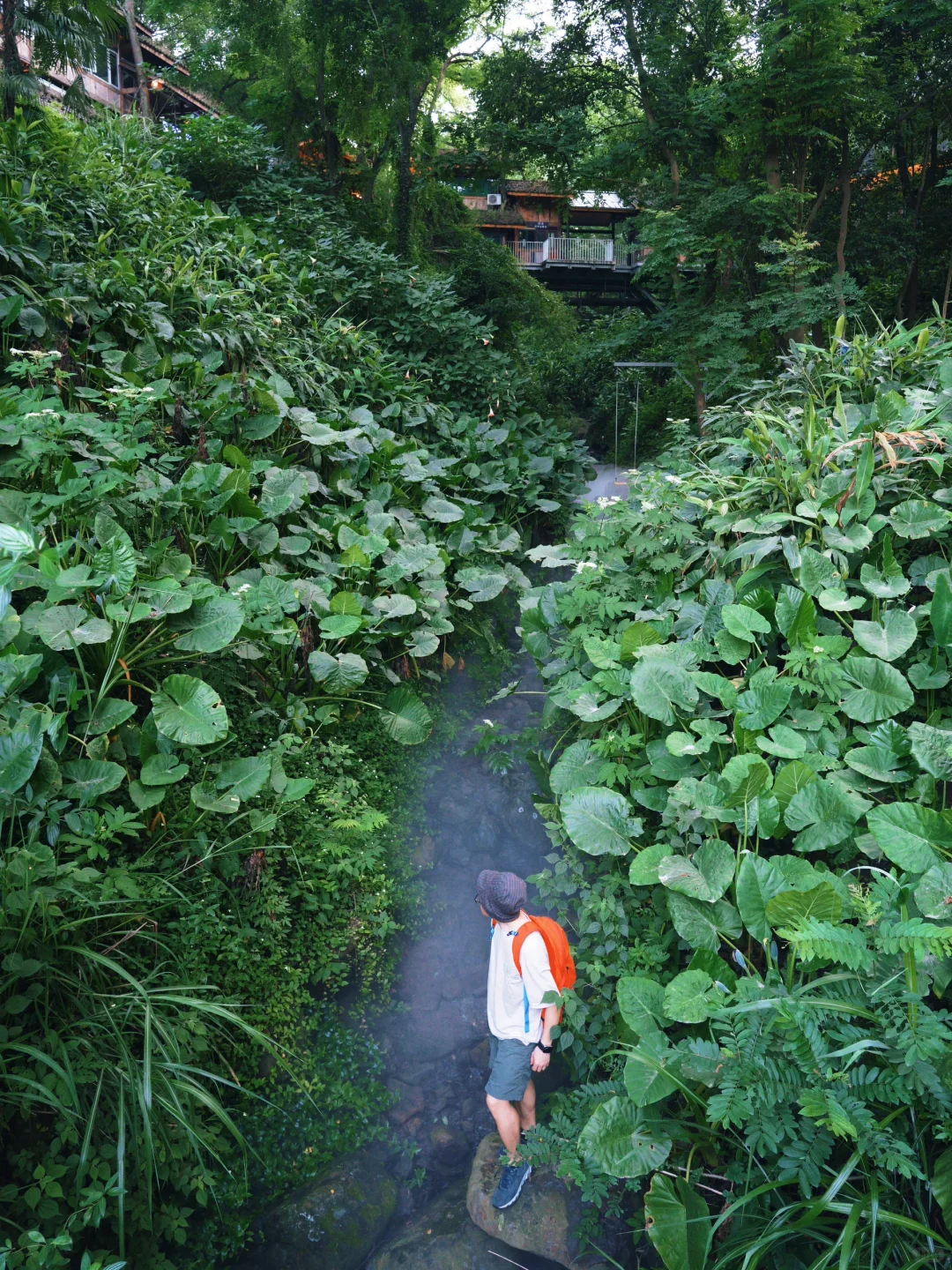 image-20250806163347251