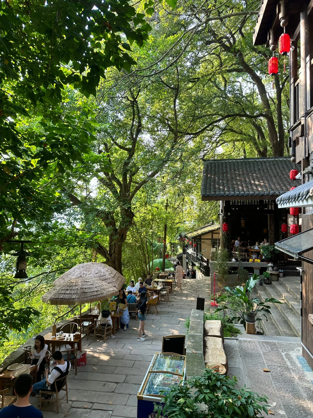Escape Hongyadong! A Chongqing Local's Secret Itinerary 🗺️✨